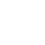website-icon website-icon
